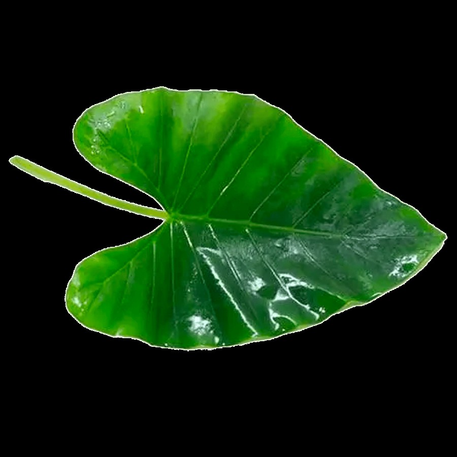 fresho! Colocasia Leaf