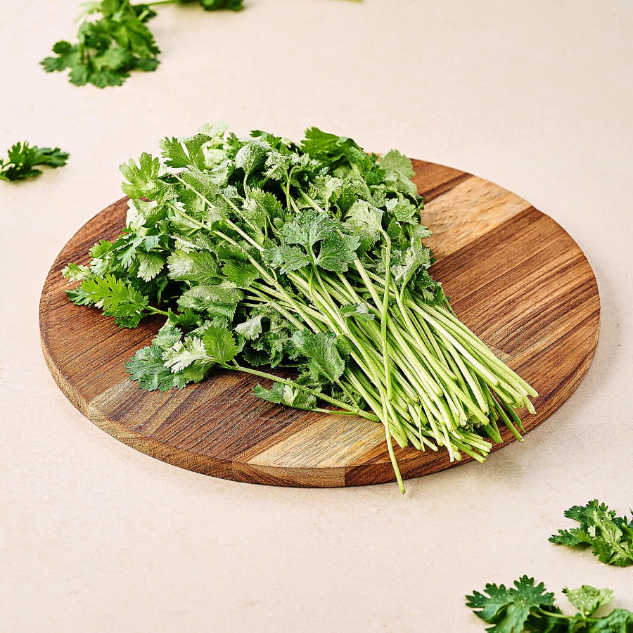 fresho! Coriander Leaves