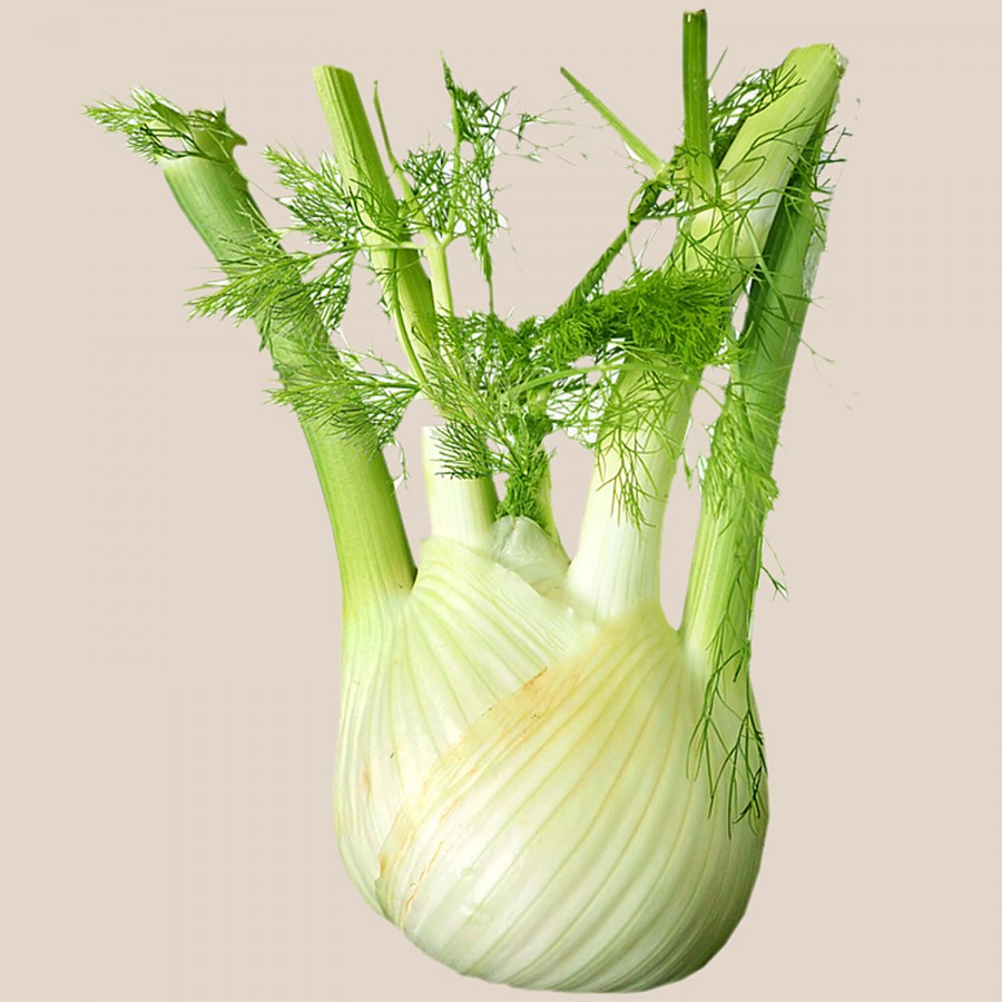 fresho! Fennel