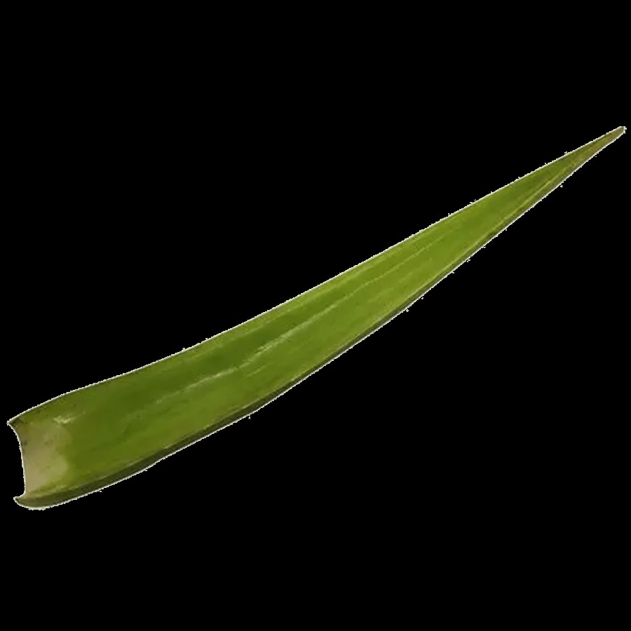 fresho! Aloe Vera - Loaded With Antioxidant & Antibacterial Properties