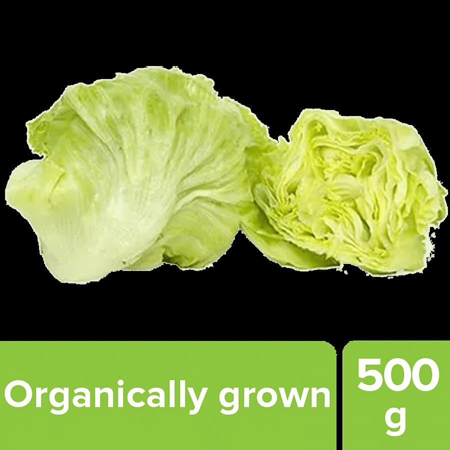 fresho! Lettuce Iceberg - Organically Grown