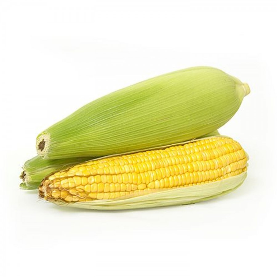 fresho! Sweet Corn / Indian Bhutta