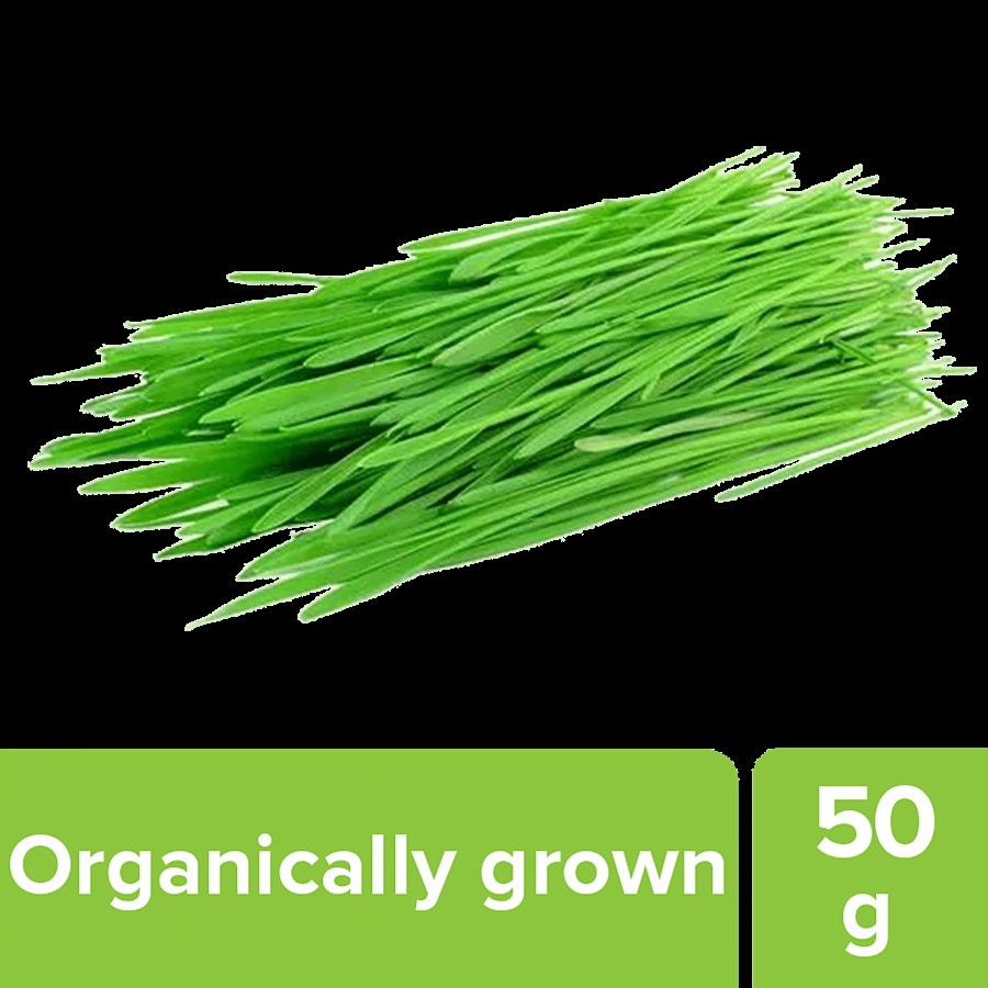 fresho! Wheat Grass - Organically Grown