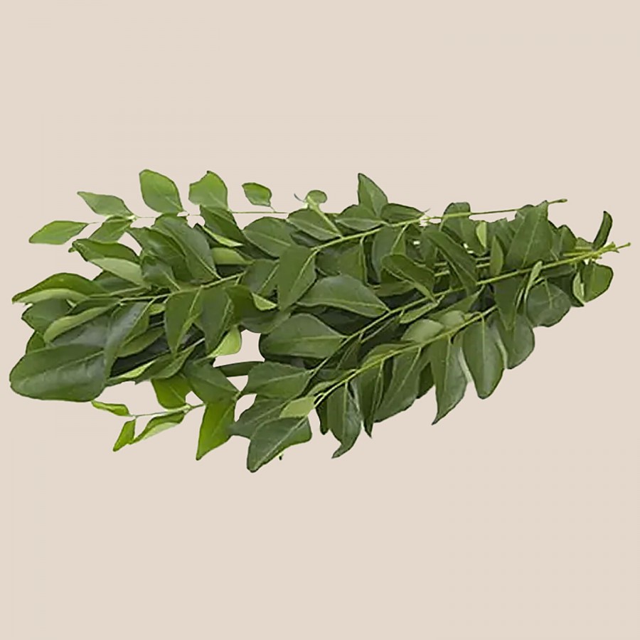 fresho! Curry Leaves - Institutional