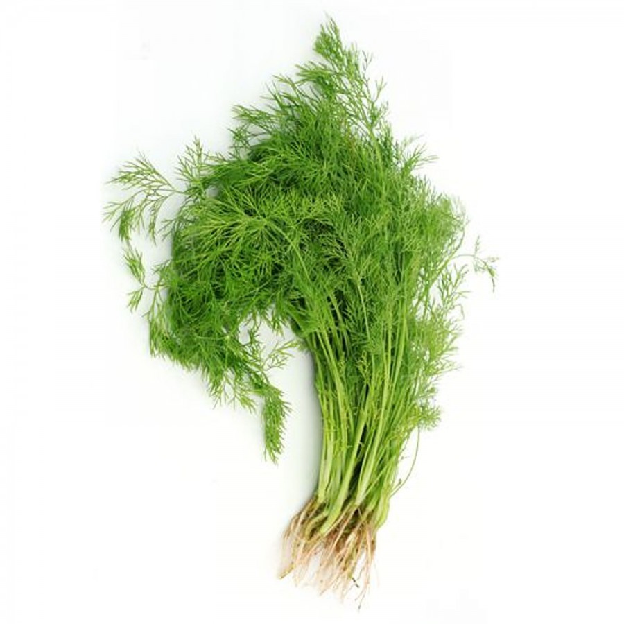 fresho! Dill Leaves