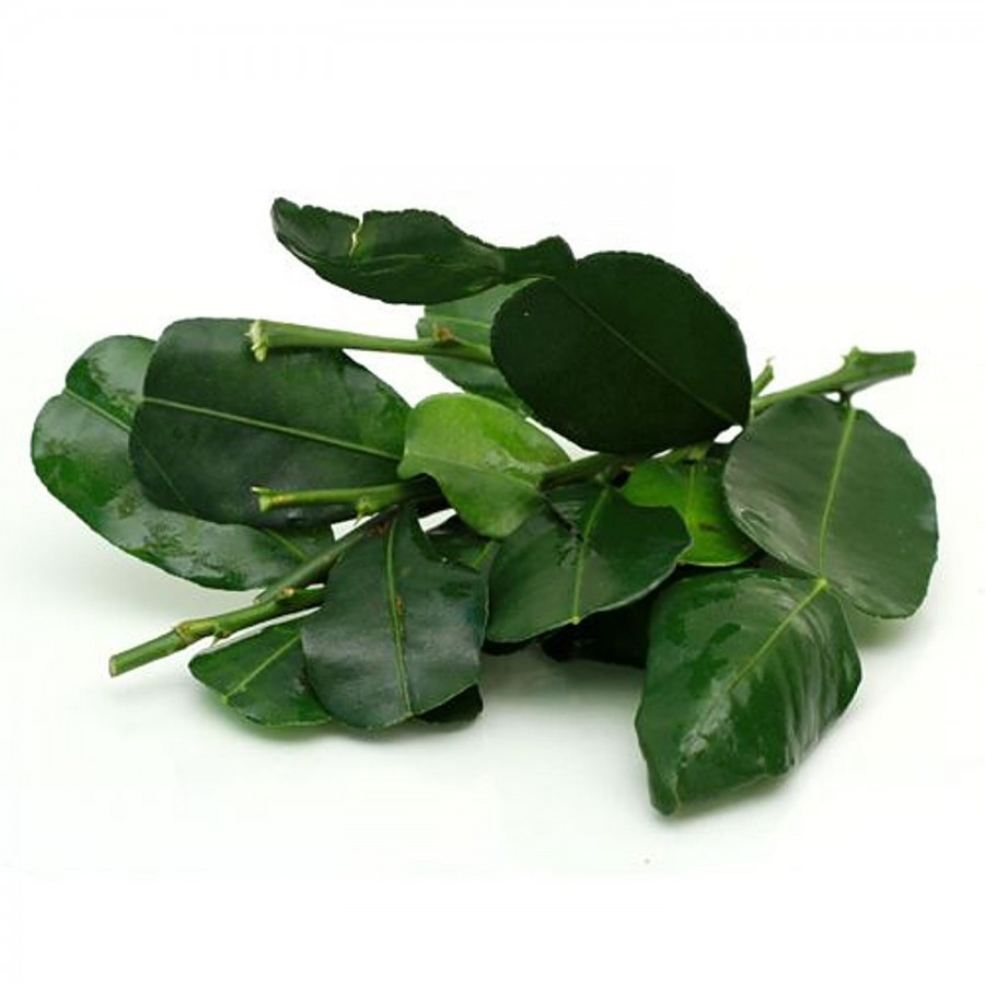 fresho! Kaffir Lime leaves