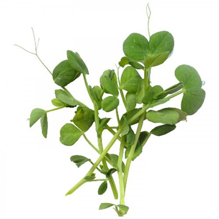 fresho! Microgreen - Peashoots