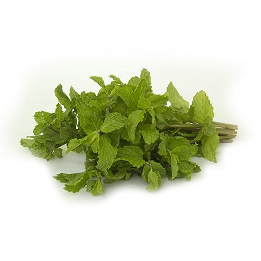 fresho! Mint Leaves Premium