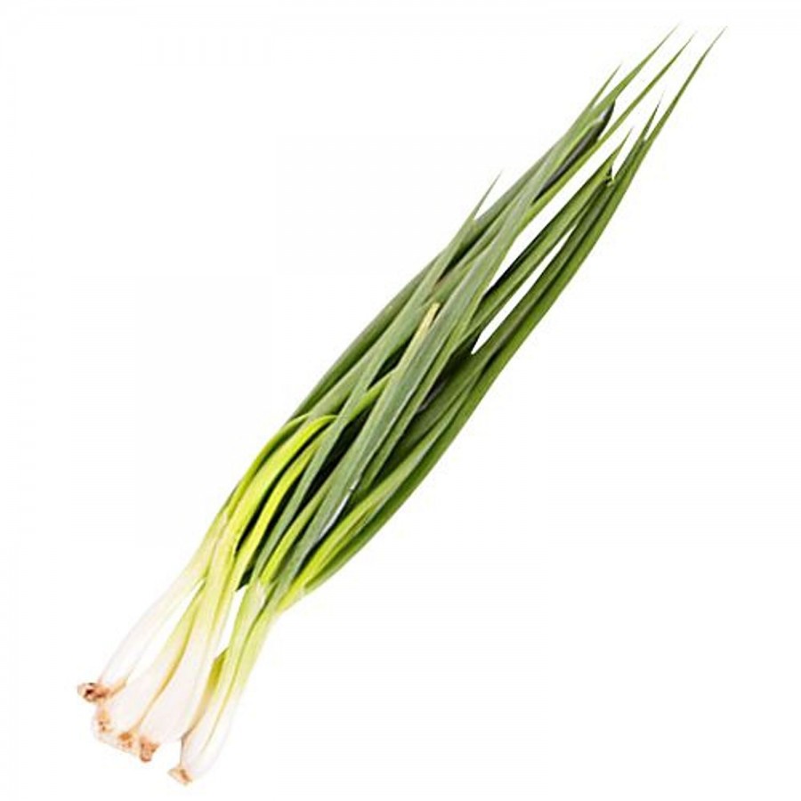 fresho! Spring Garlic