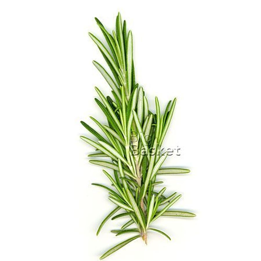 Gopalan Organic Rosemary