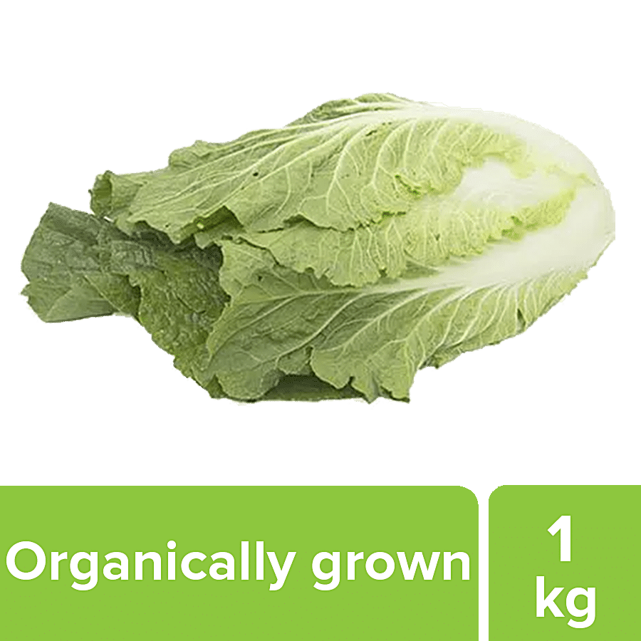 fresho! Chinese Cabbage - Organically Grown