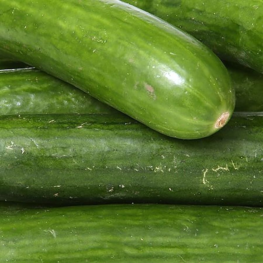 fresho! English Cucumber - Organically grown