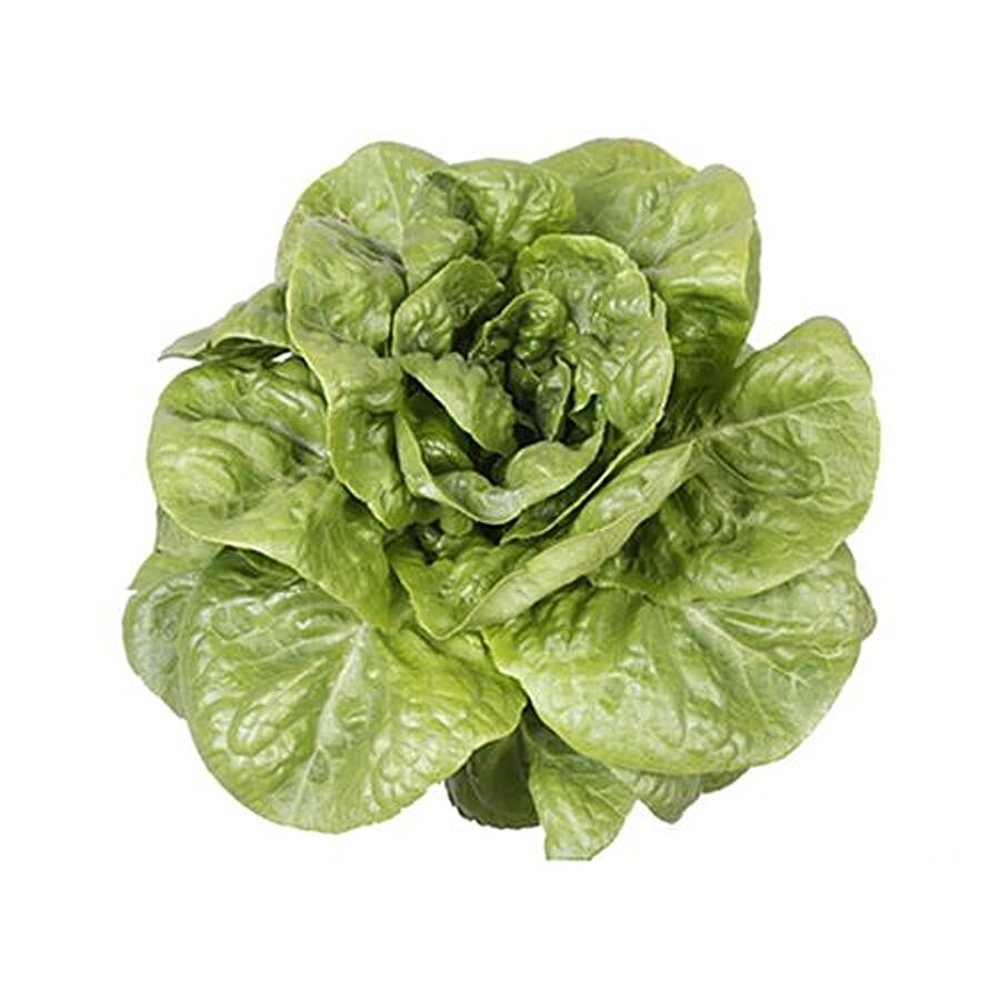 fresho! Lettuce - Romaine