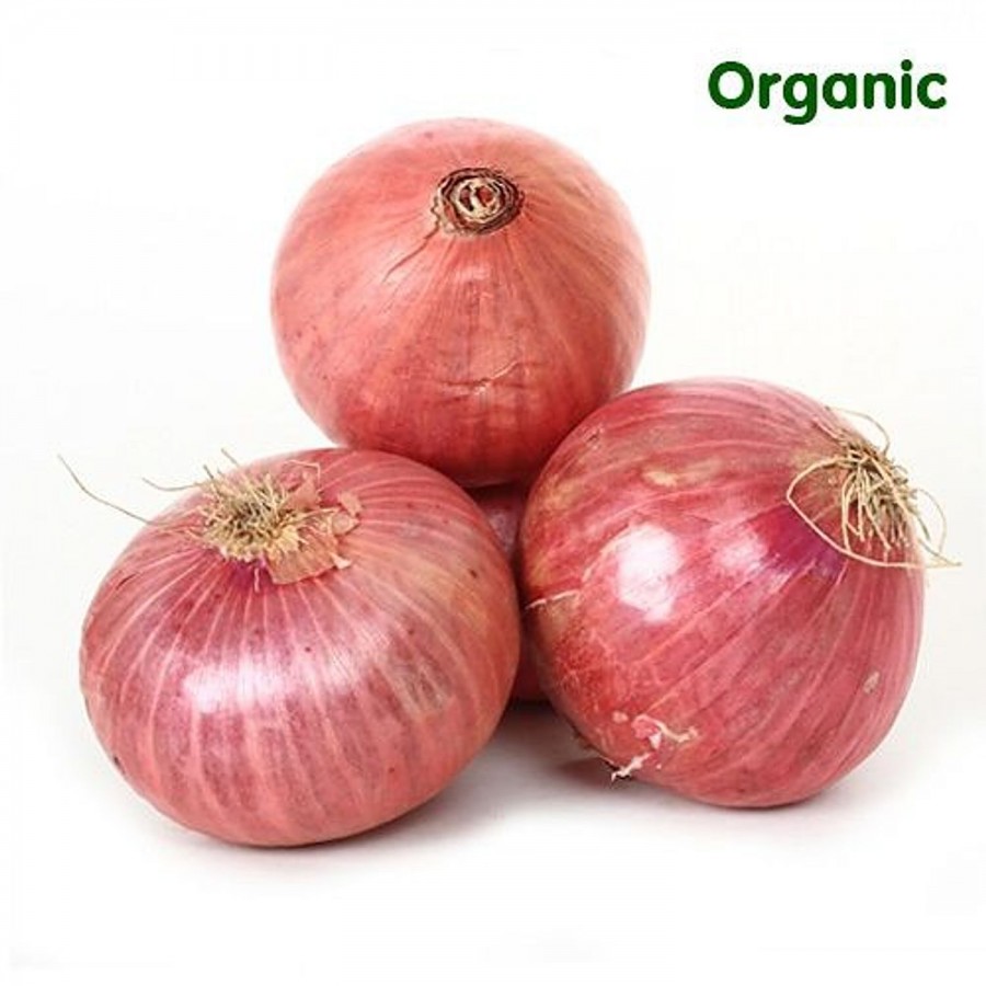 fresho! Onion Bulk