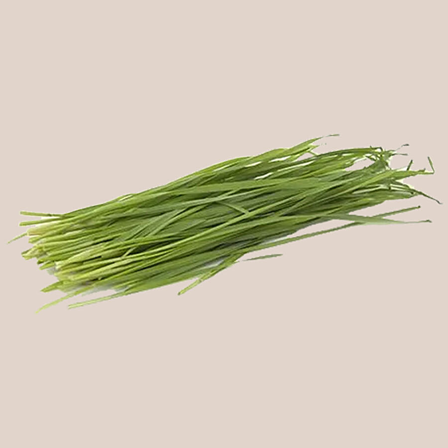 fresho! Wheat Grass - Organically Grown