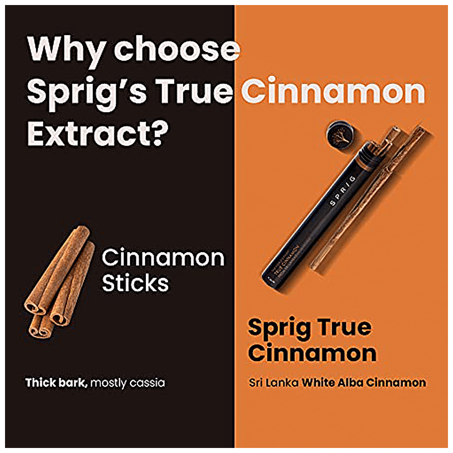 Sprig True Cinnamon - Sri Lankan