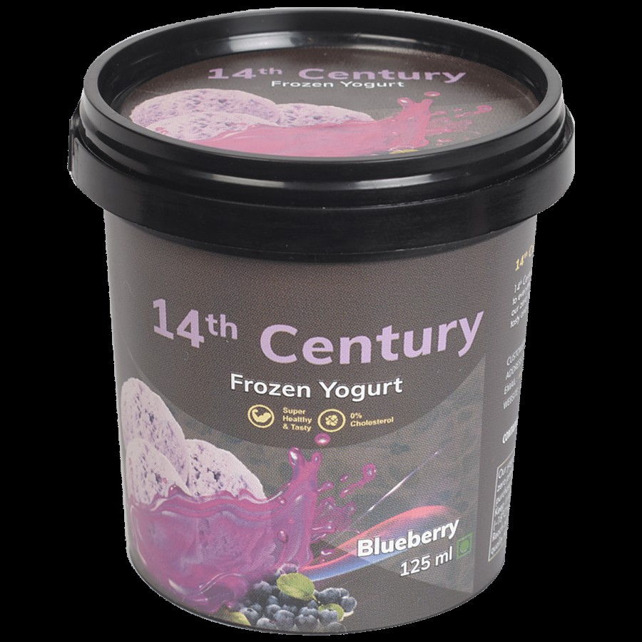 14th Century Frozen Yogurt - Blueberry