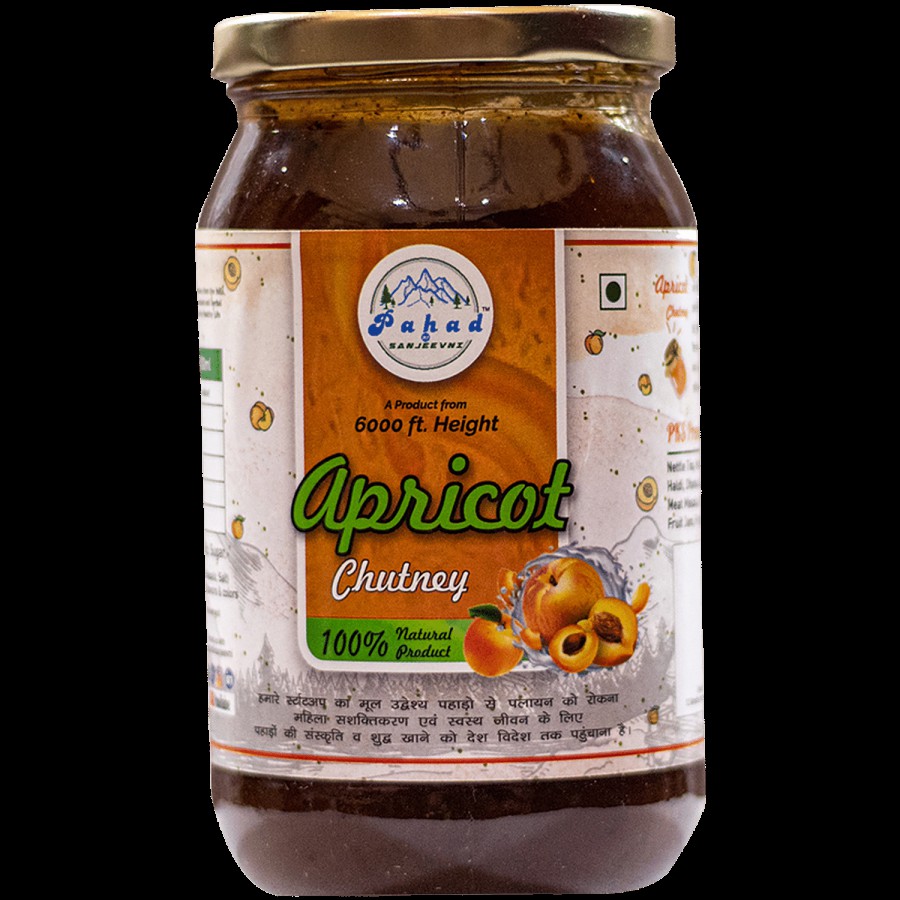 Pahad Ki Sanjeevni Apricot Chutney