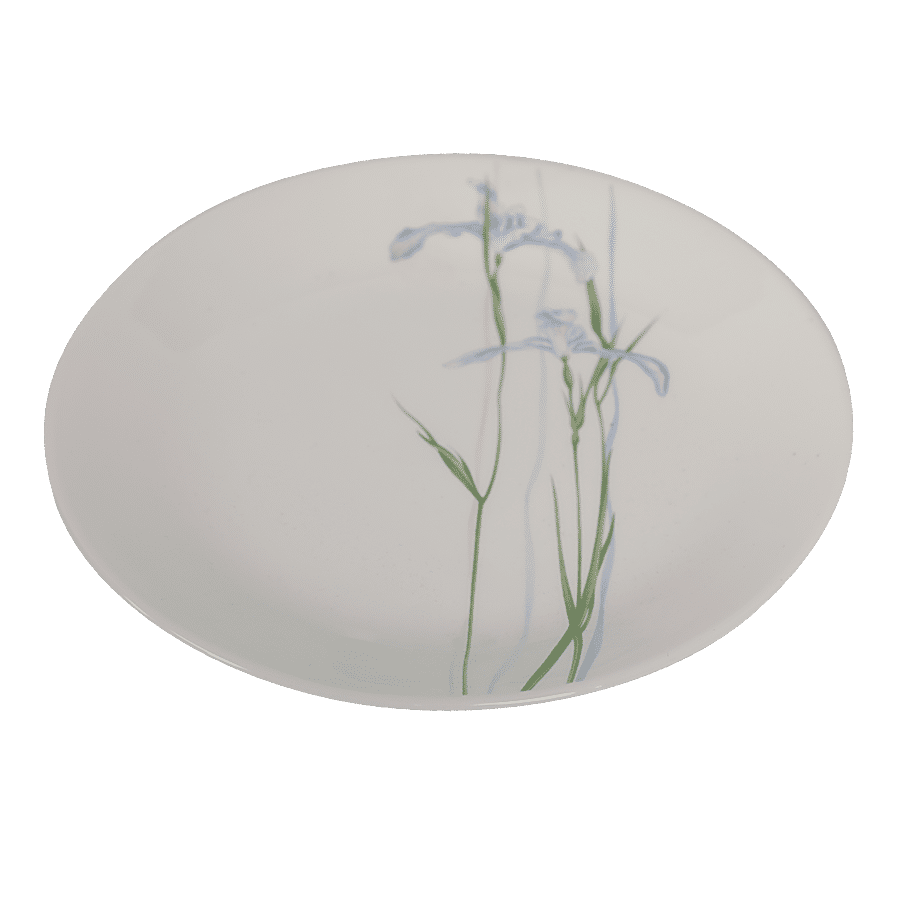 Corelle Shadow Iris Medium Plate Set