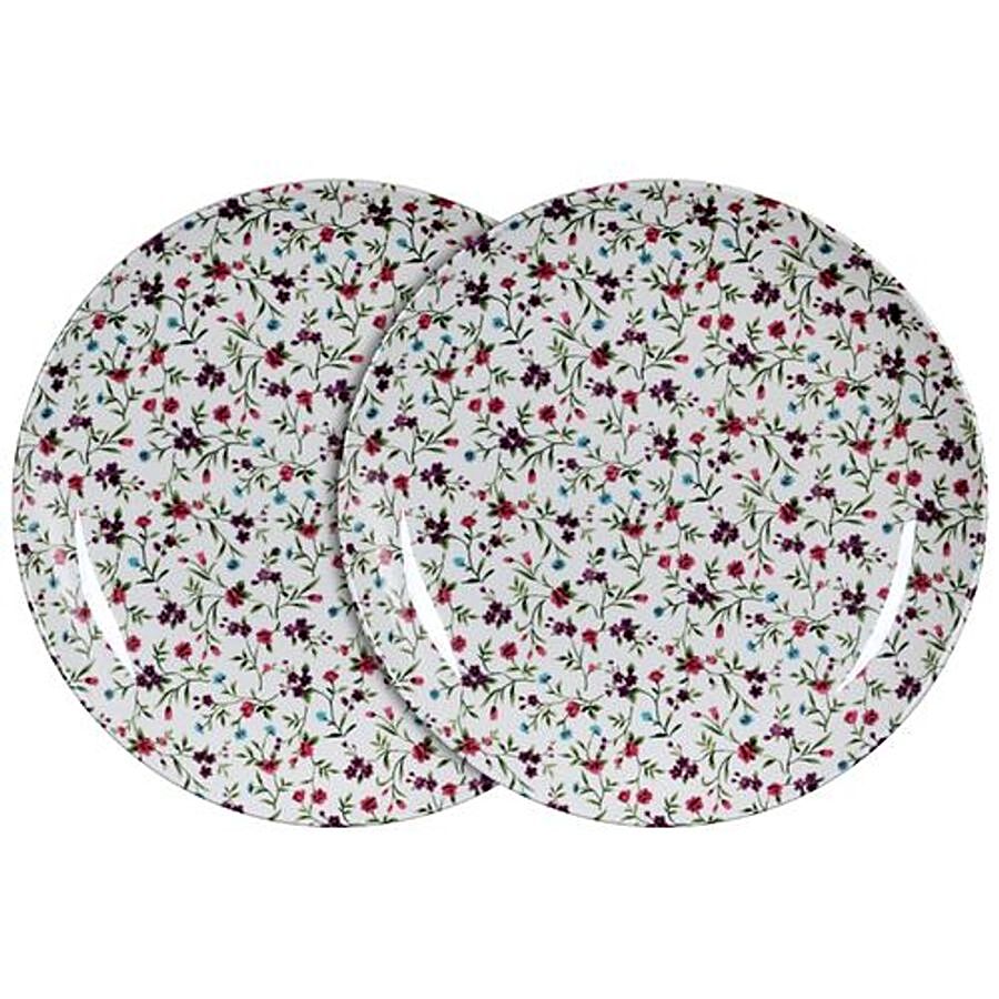 Iveo  100% Melamine Dinner Plate - Hazzle