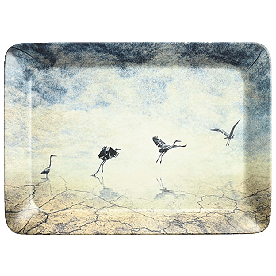 Tibros Canvas Matt Series Evolution Tray - Non-Toxic