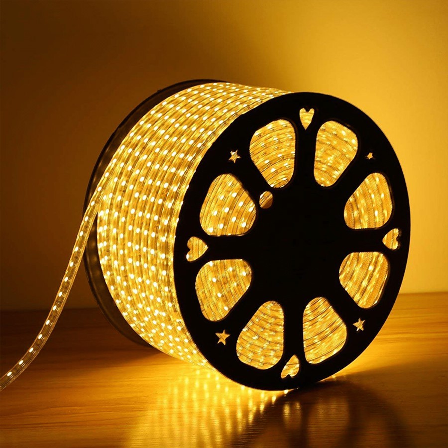 Desidiya LED Strip Rope Light