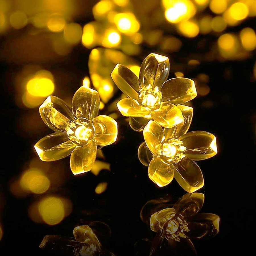 Lexton Flower String Light