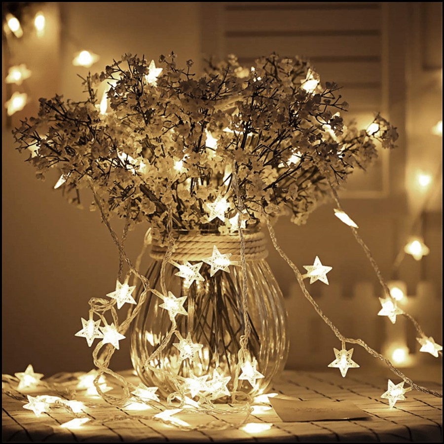 Lexton LED Party Festive Decorative Light - Warm White