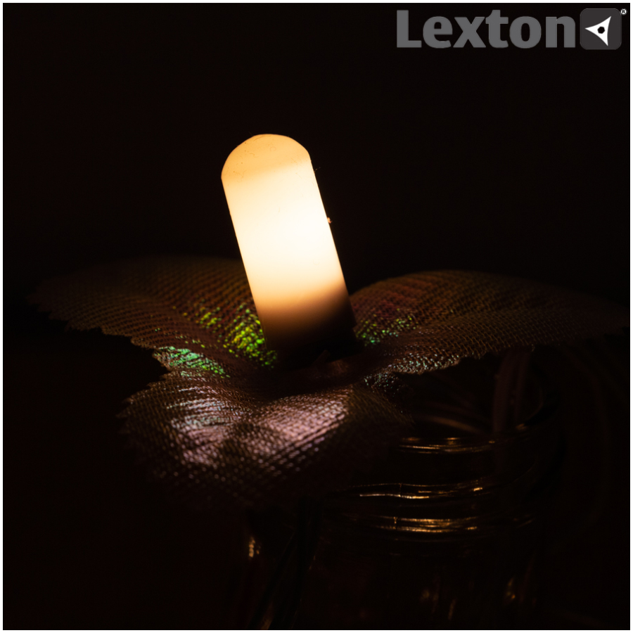 Lexton LED Decorative Party Light Lamp - Warm White