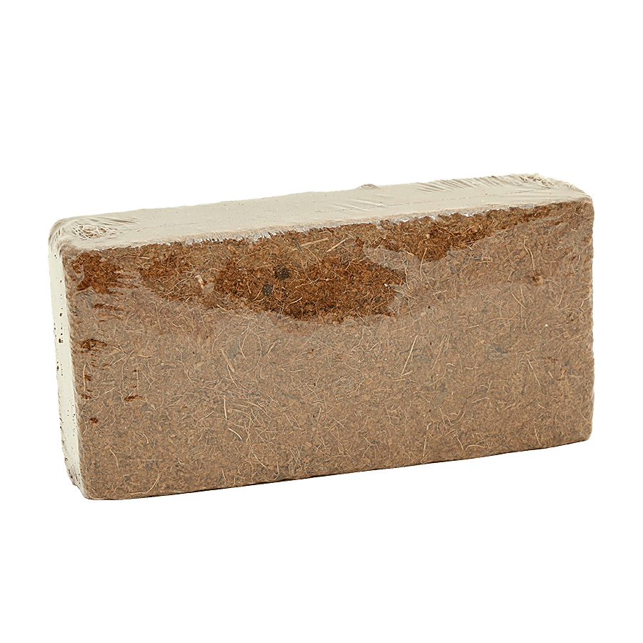 Aaniya Coco Peat