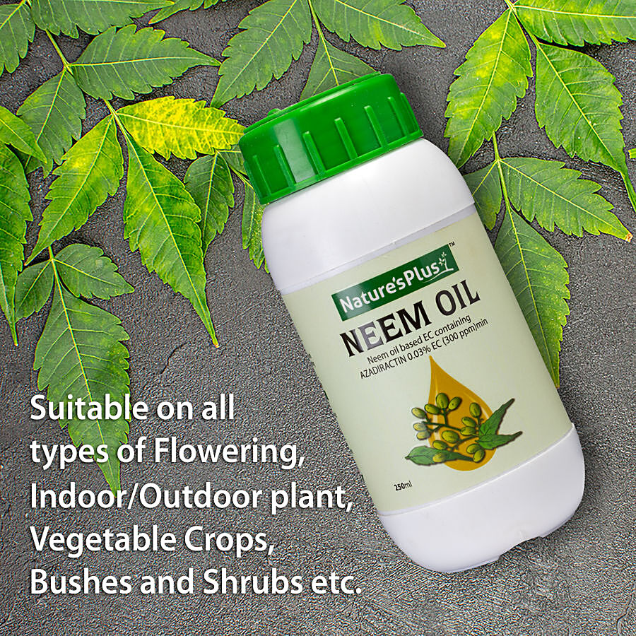 NATURES PLUS Neem Oil