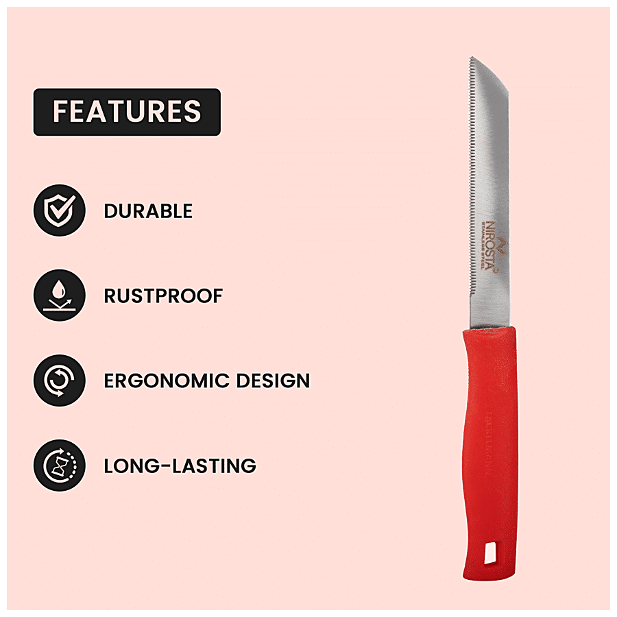 Fackelmann Nirosta Stainless Steel 25 cm Knife - Perfect For Cutting Fruits & Vegetables