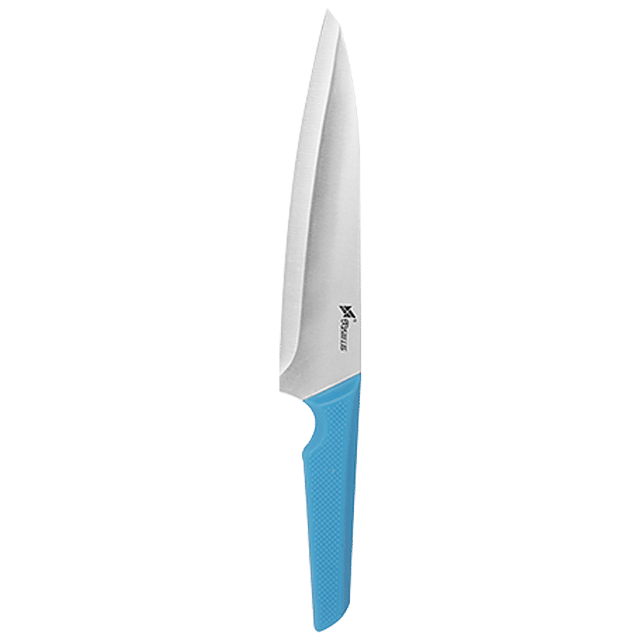 Xishifeng Butcher Knife with Plastic Handle - Stainless steel