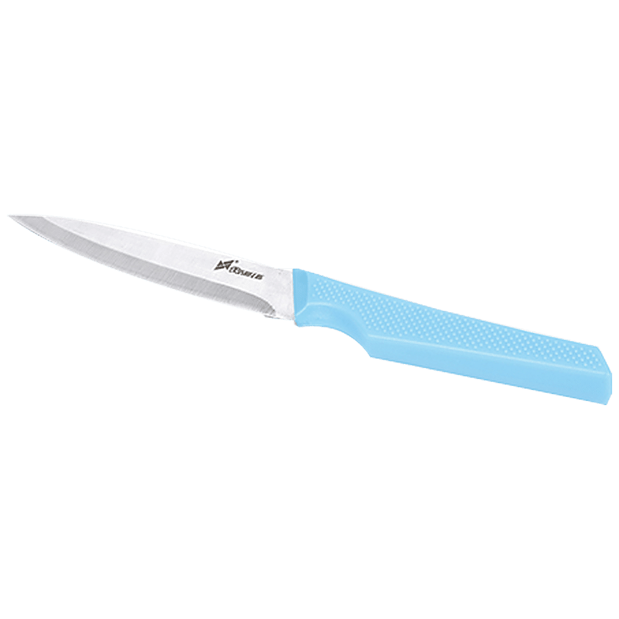 Xishifeng Pointed Knife with Plastic Handle - Stainless Steel