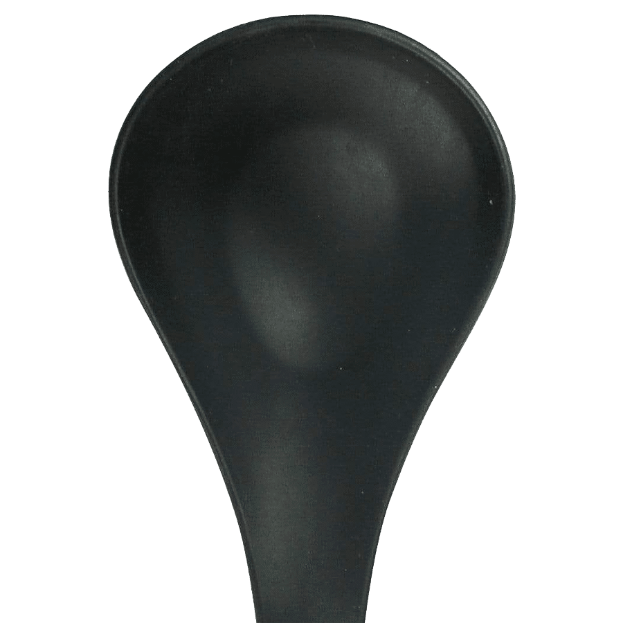 Wonderchef Waterstone Silicone Ladle - Black