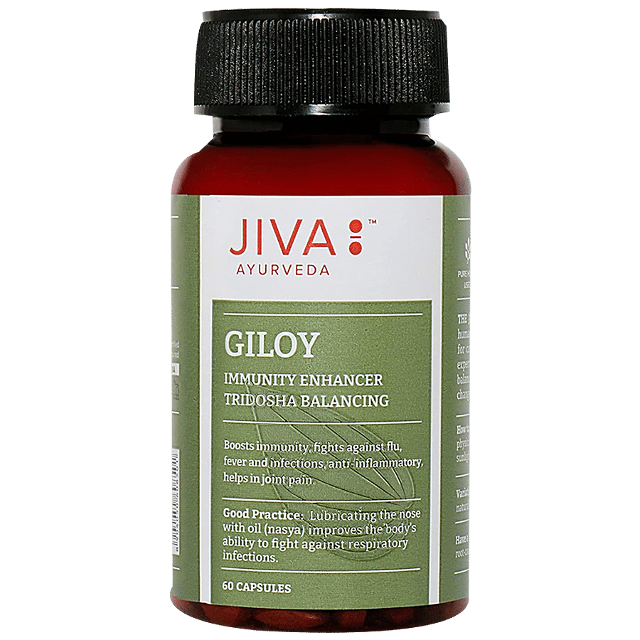 Jiva Ayurveda Giloy Immunity Enhancer Capsules - Prevents