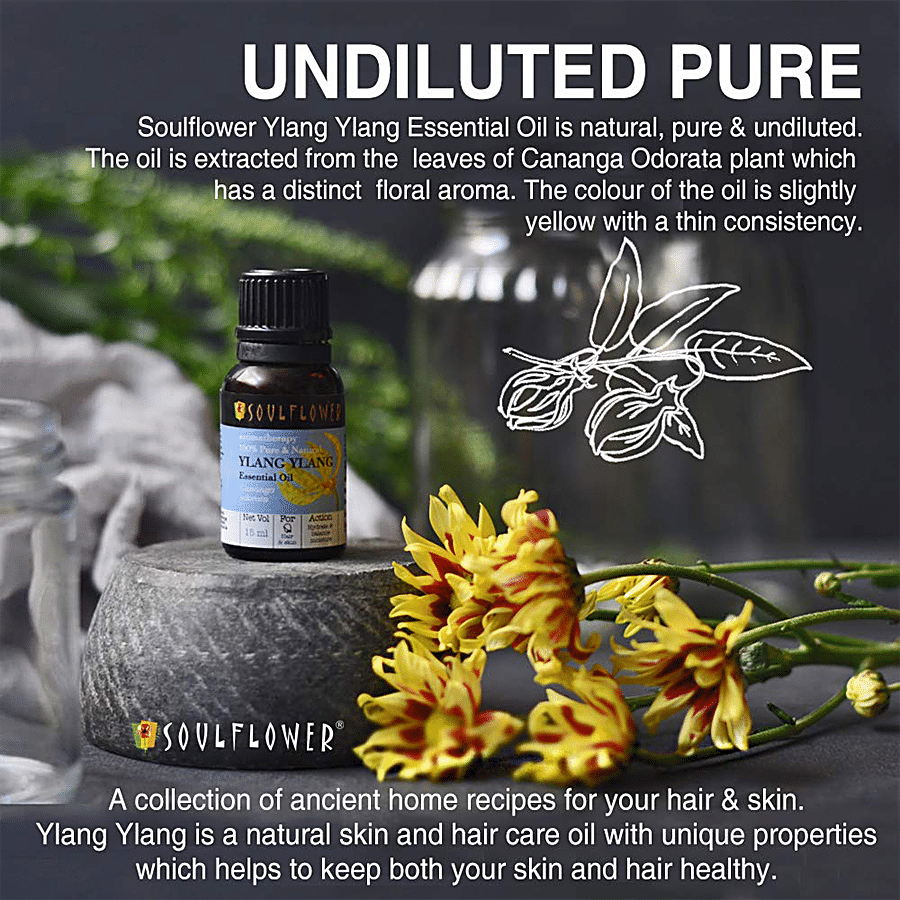 Soulflower Ylang Ylang Essential Oil