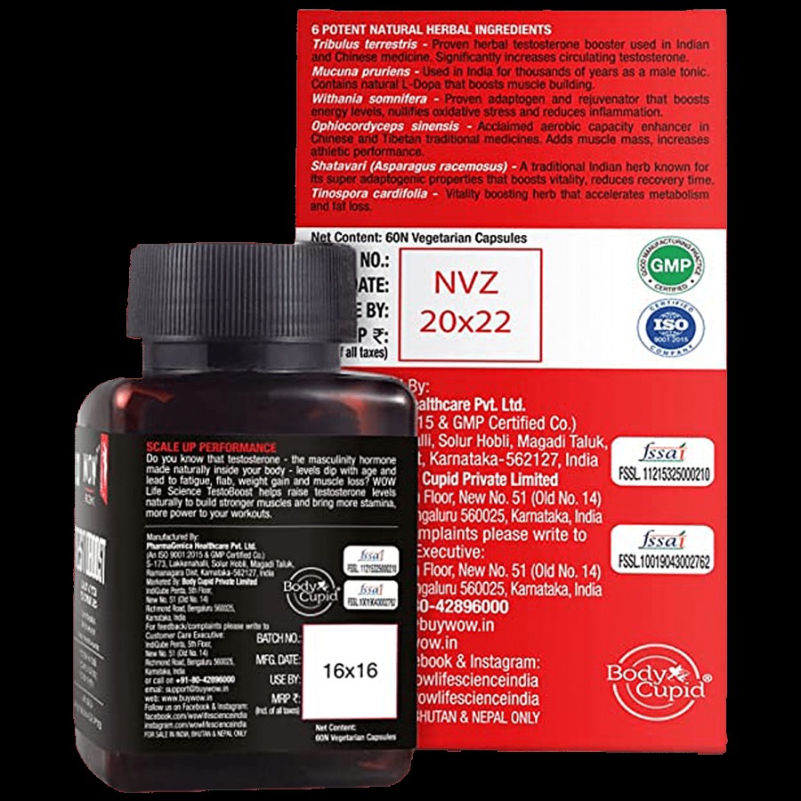 WOW Life Science  Testoboost Capsule - Helps Restore Muscle Ma