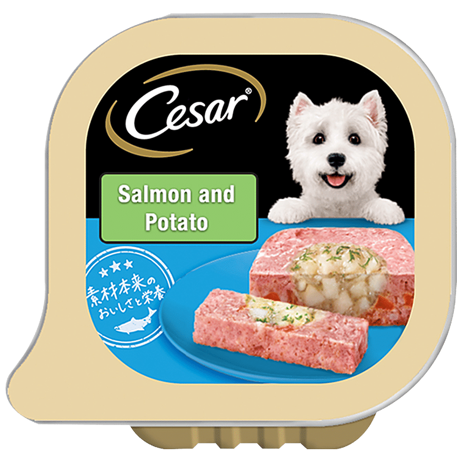 Cesar Premium Adult Wet Dog Food - Salmon & Potato