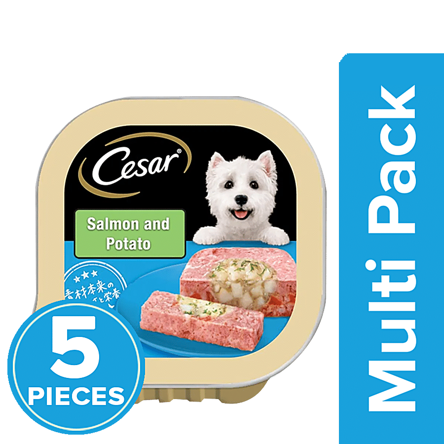 Cesar Premium Adult Wet Dog Food - Salmon & Potato