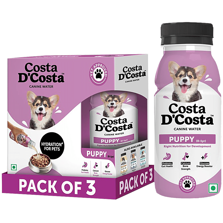 Costa D'Costa  Canine Water For Dogs - 0 To 1 Year