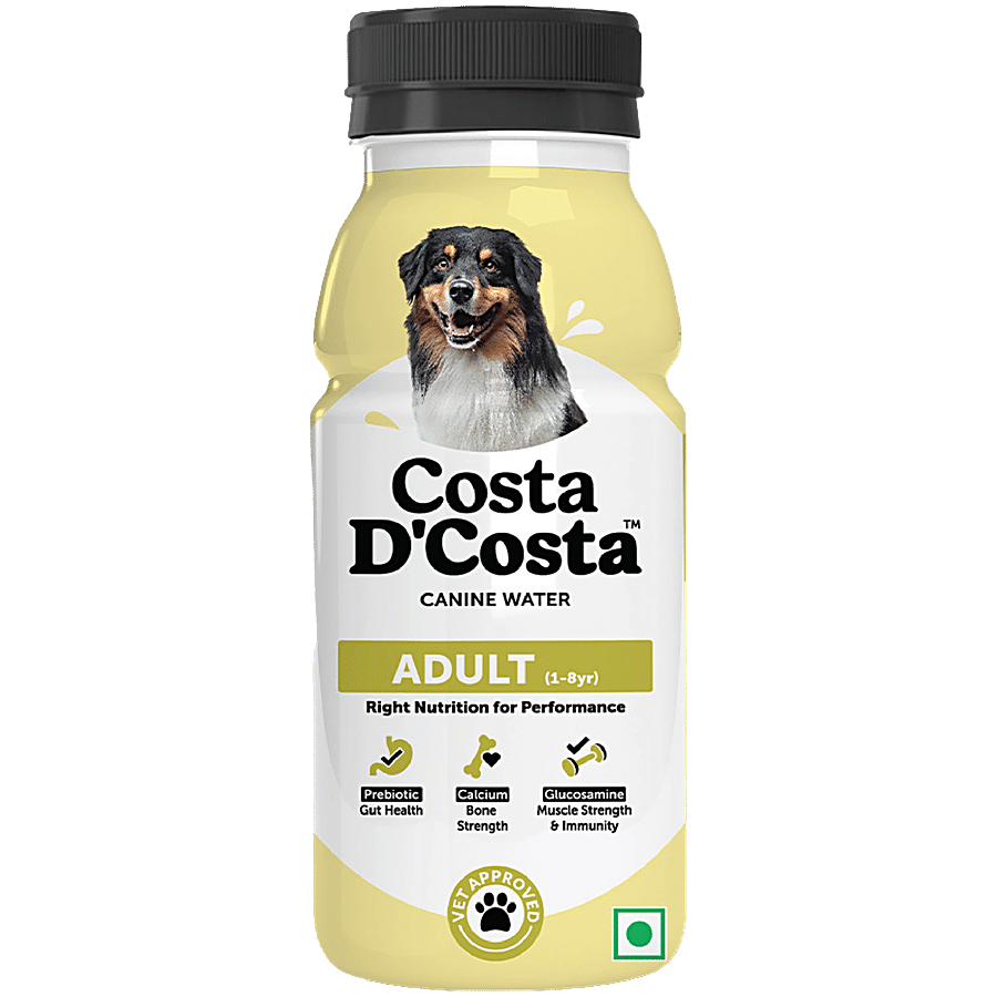 Costa D'Costa  Canine Water For Dogs - 1 To 8 Years