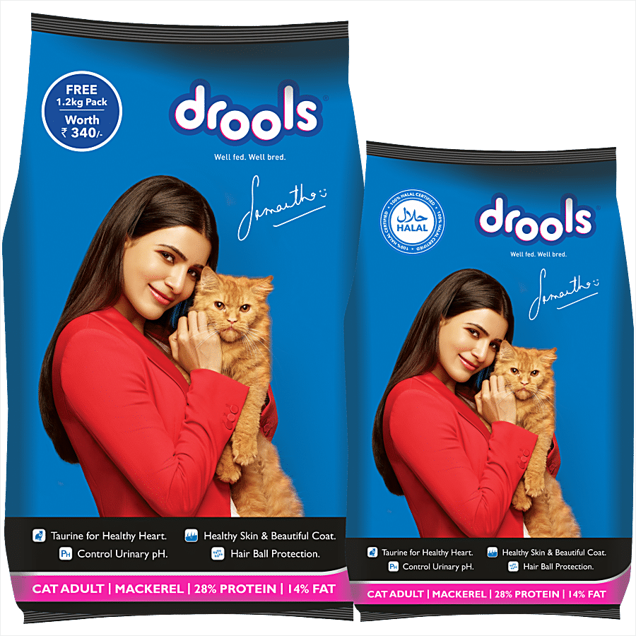 Drools Dry Adult Cat Food - Mackerel