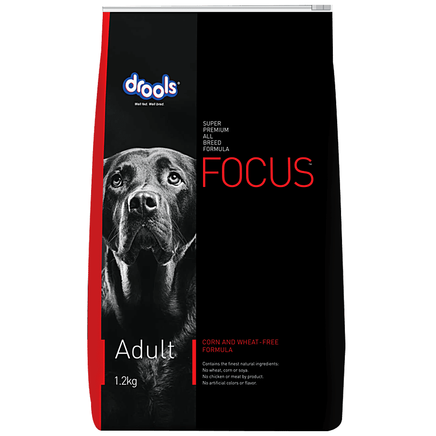 Drools Focus Super Premium All Breed Formula - For Adult Dogs