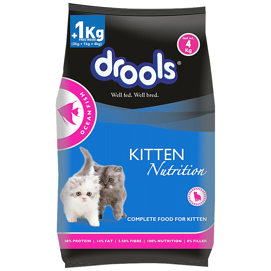 Drools Ocean Fish Kitten Cat Dry Food