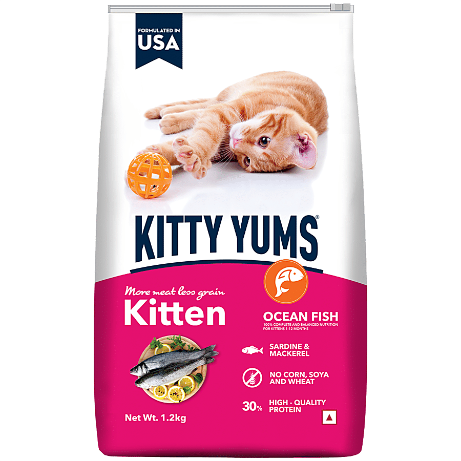 Kitty Yums Kitten Dry Cat Food - Ocean Fish