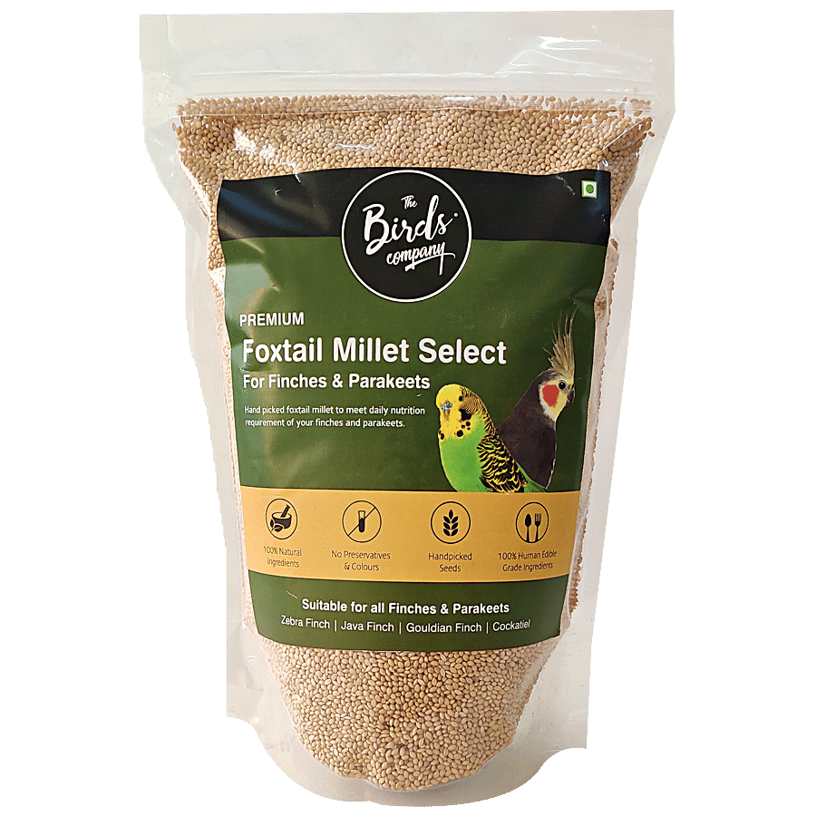 The Birds Company Bird Food - Premium Foxtail Millet/Kangni Select With Spirulina & Cuttlefish Bone