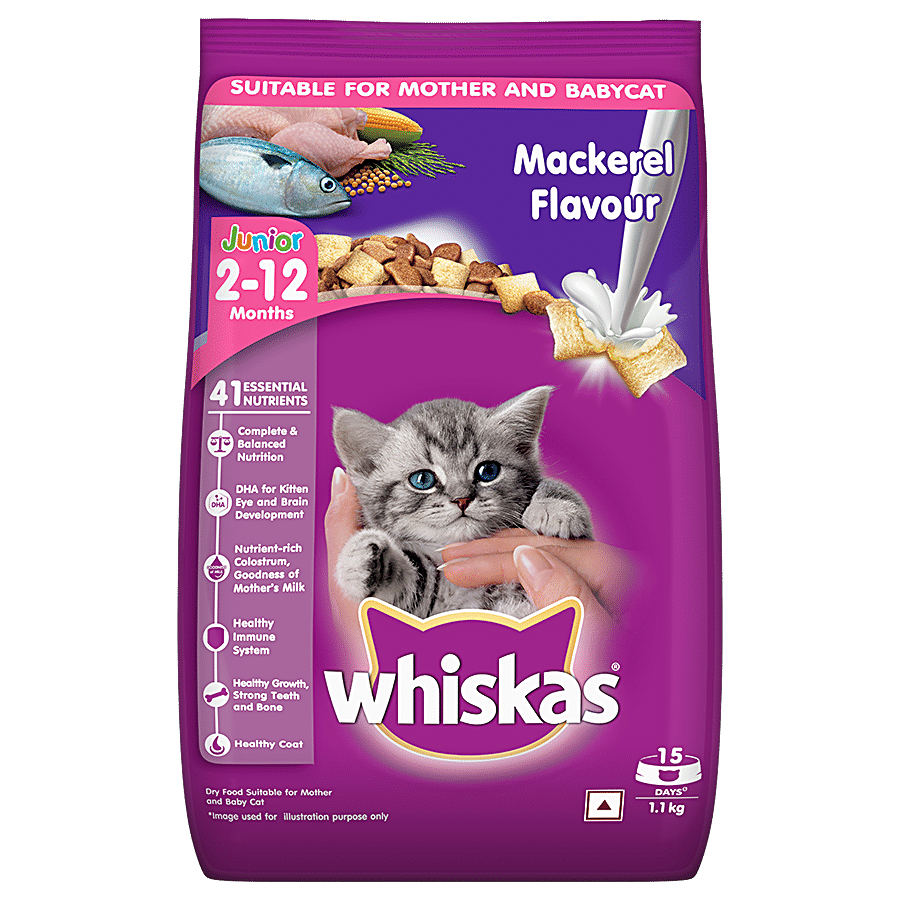 Whiskas Dry Cat Food - 2-12 Months