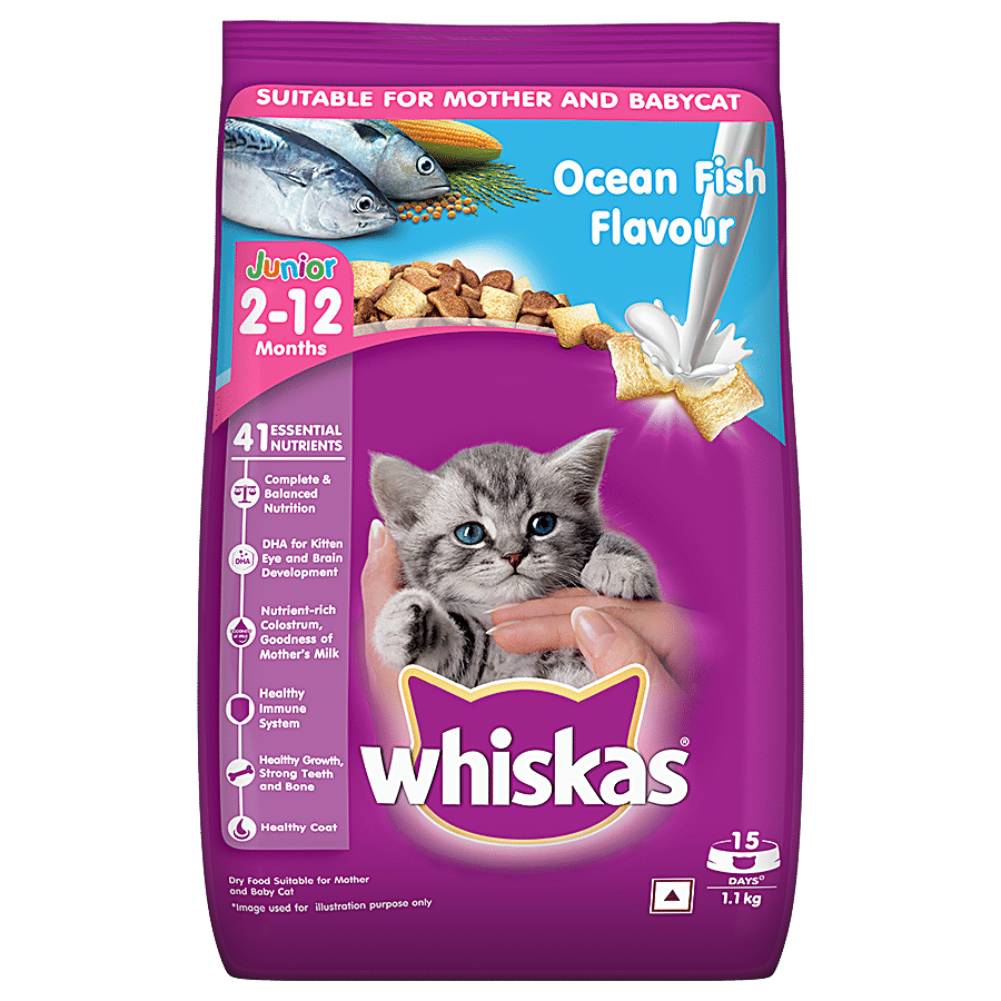 Whiskas Dry Cat Food - Junior Ocean Fish