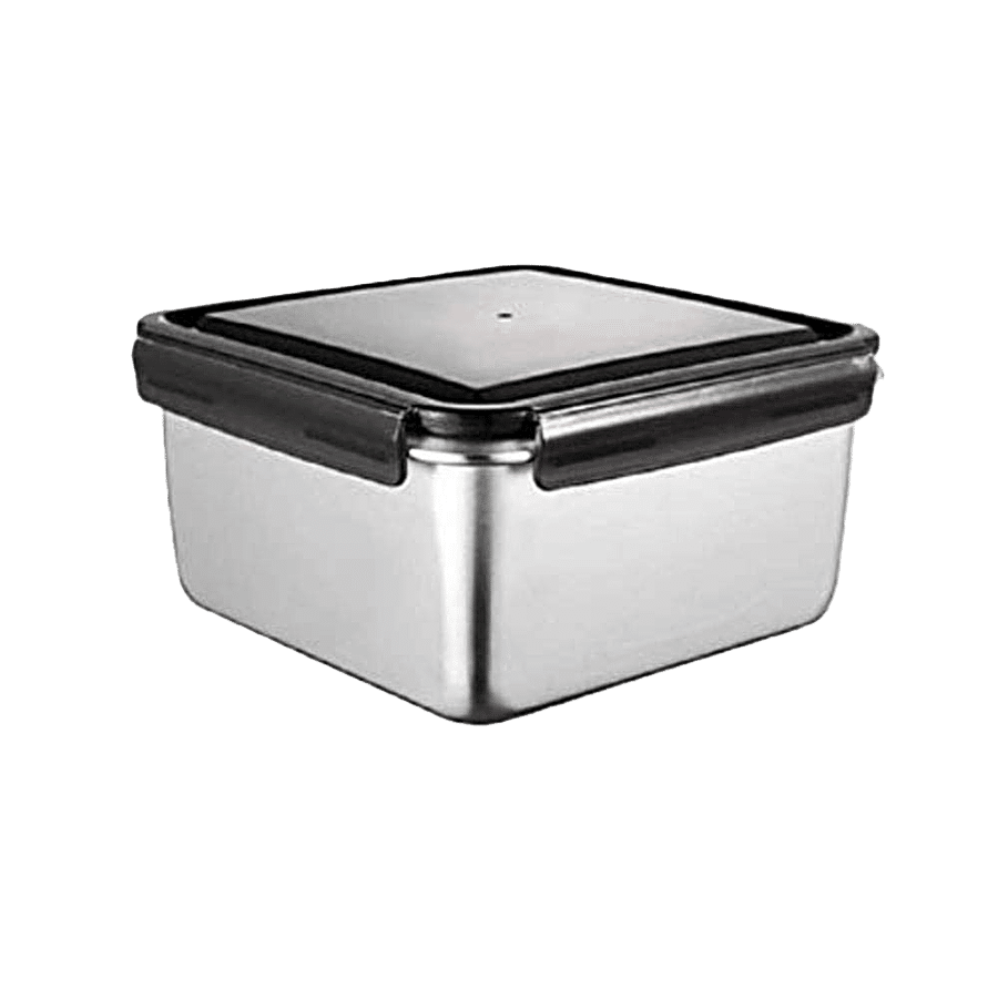 Femora Stainless Steel Container - High Grade